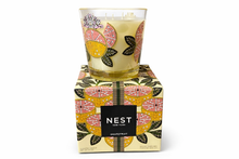 Grapefruit Decorative Collection
