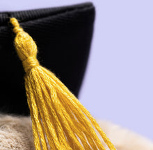 Bashful Bunny Graduation