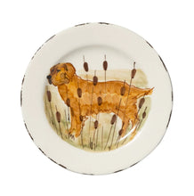 Wildlife Collection