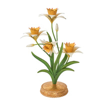 Meadow Walk Collection