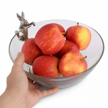 Climbing Bunny Glass Serving / Salad Bowl