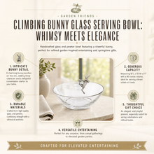 Climbing Bunny Glass Serving / Salad Bowl