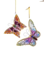 ENCHANTED PAPILLION Collection