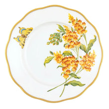 American Wildflowers Collection