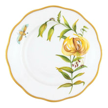 American Wildflowers Collection