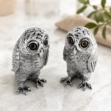 Owl Salt & Pepper Set