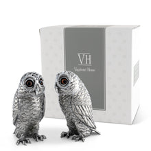 Owl Salt & Pepper Set