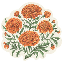 Marigold Bloom Collection