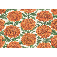 Marigold Bloom Collection