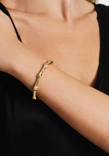 Bamboo Collection