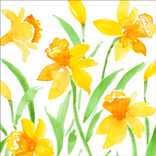 Spring Herald Collection