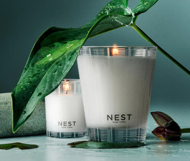 Forest Rain Collection