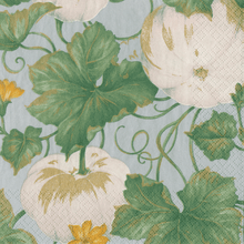 Heirloom Pumpkins Grey/white Collection