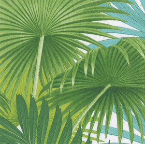 Palm Fronds White Collection