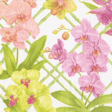 Orchid Conservatory Collection