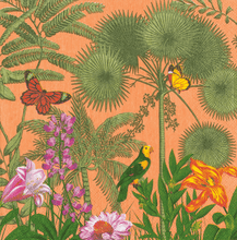 Paradise Garden Melon Collection