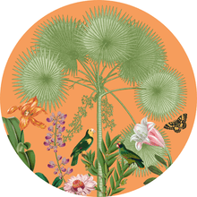 Paradise Garden Melon Collection