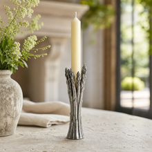 Asparagus Candlestick