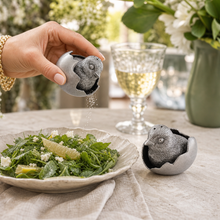 Chicks in Eggs Salt & Pepper Set