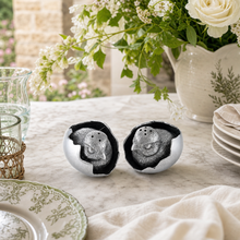 Chicks in Eggs Salt & Pepper Set