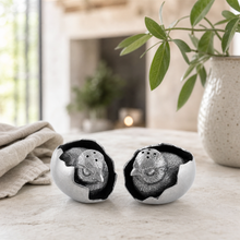 Chicks in Eggs Salt & Pepper Set