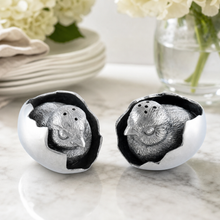 Chicks in Eggs Salt & Pepper Set