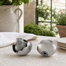 Chicks in Eggs Salt & Pepper Set