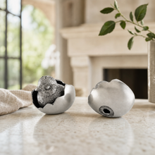 Chicks in Eggs Salt & Pepper Set