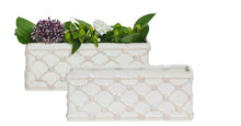 Berry & Thread Whitewash Collection