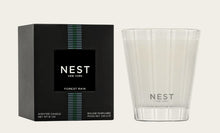 Forest Rain Collection