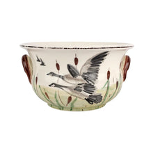 Wildlife Collection