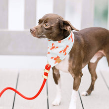 Ruby Valentine's Day Marine Rope Dog Leash