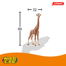 Giraffe, Female Safari Animal Toy