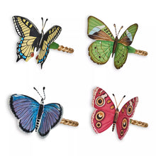 Meadow Walk Collection
