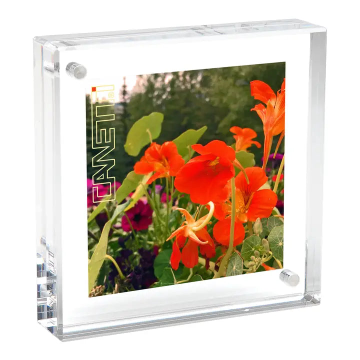 2x2 Original Magnet Frame LC222