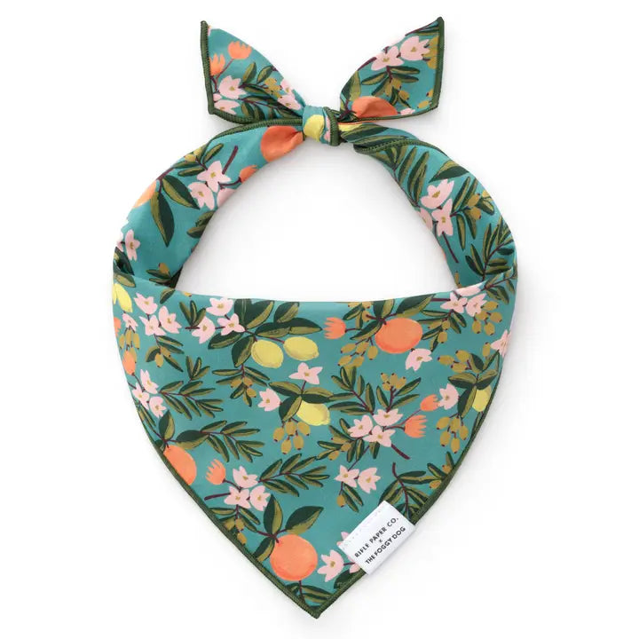 Rifle Paper Co. X Tfd Citrus Floral Spring Dog Bandana