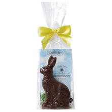 Chocolate Solid Bunny