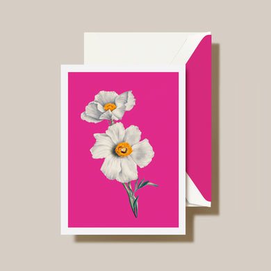 (10) Modern Vintage White Poppies