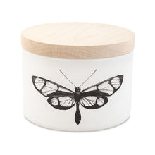 Citronella 3-Wick Candle Collection