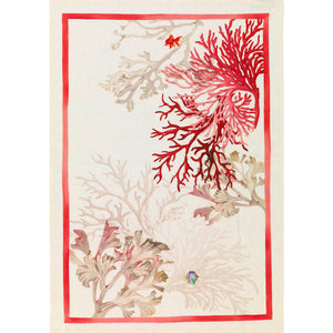 AQUARIUS PRINTED KITCHEN TOWEL Collection