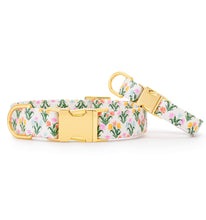 Rifle Paper Co. x TFD Tulips Spring Dog Collar