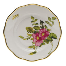 American Wildflowers Collection