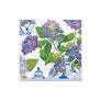 Hydrangeas And Porcelain Collection
