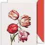 (10) Modern Vintage Tulips Pearl White Kid Finish Notes CF12032