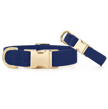 Ocean Dog Collar
