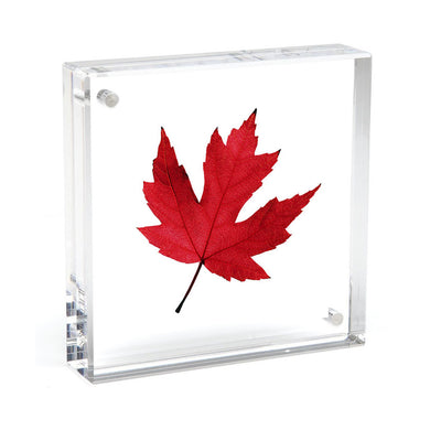 4x4 Square Magnet Frame-LC444 : 4x4