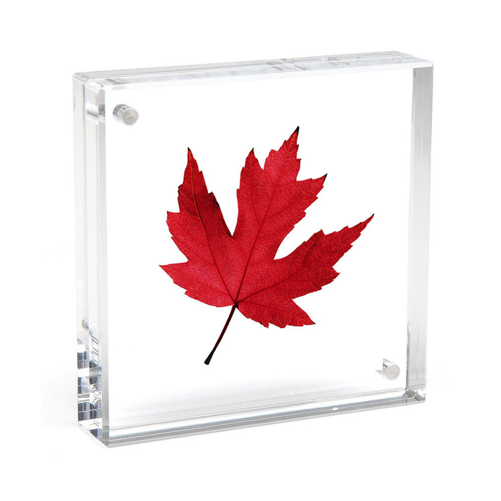 4x4 Square Magnet Frame-LC444 : 4x4