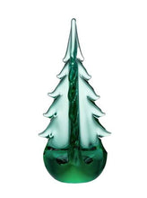 Green Mountain Evergreen 10in