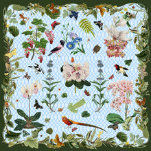 Lauren Scarf Collection