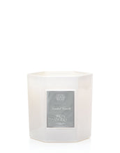 Iron Wood Collection - Antica Farmacista